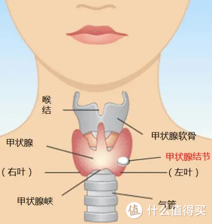 最后2个月的机会上车，赔了45万，治疗费却仅需2万