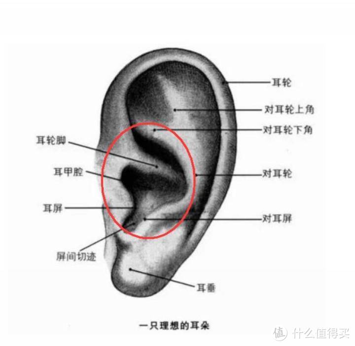 佩戴舒适 音质暖人—HIK S1 HIFI入耳式耳塞