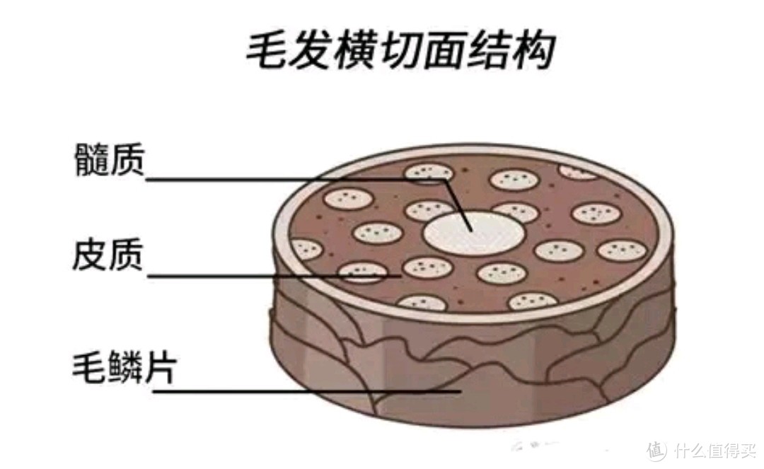 护发素,发膜到底怎么用?