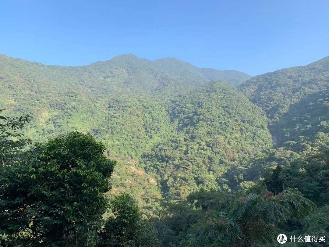 沿路风景