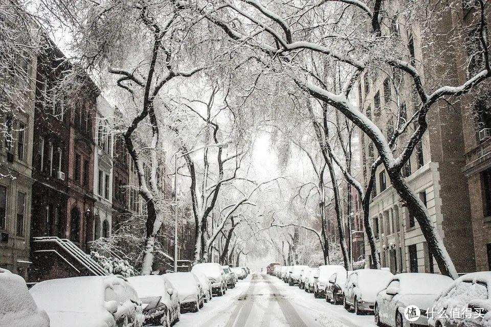 大雪|冬日进补，开春打虎