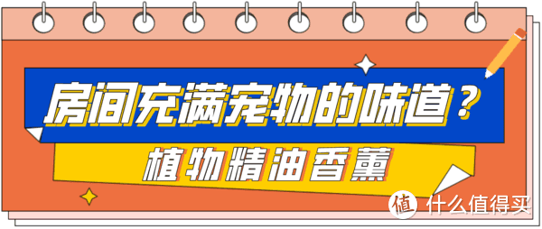 你是真还是假精致？答完这几道题就知道了！