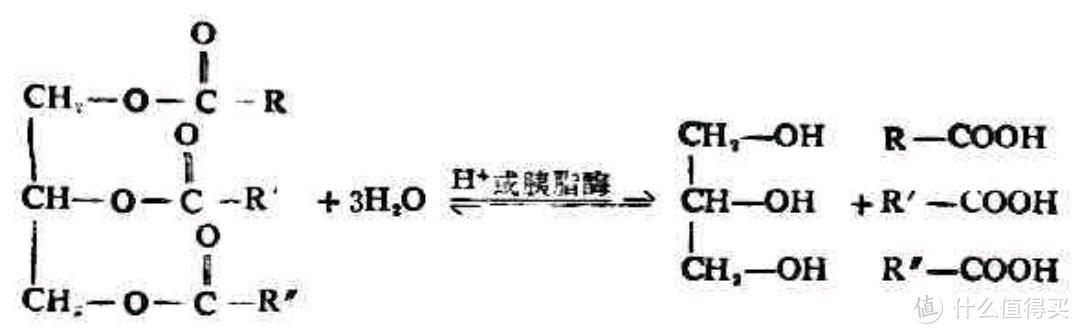 1mol油脂水解生成1mol甘油和3mol脂肪酸