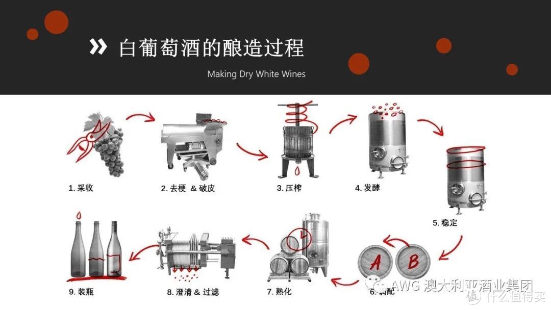 葡萄酒的100节课程——02. 葡萄酒是如何酿造的（上）