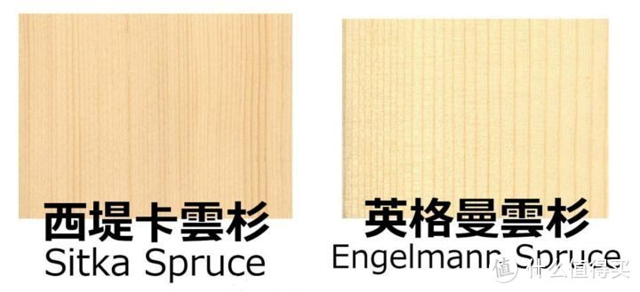 乐器界老司机带你上车：新手入门如何选择尤克里里？最值得入手的尤克里里品牌推荐！