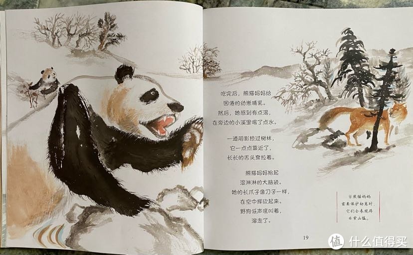 熊猫妈妈：不会吼怎么保护孩子？