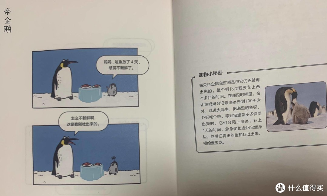 这本动物科普漫画书，捧腹大笑中让人脑洞大开，圣诞节礼物推荐它