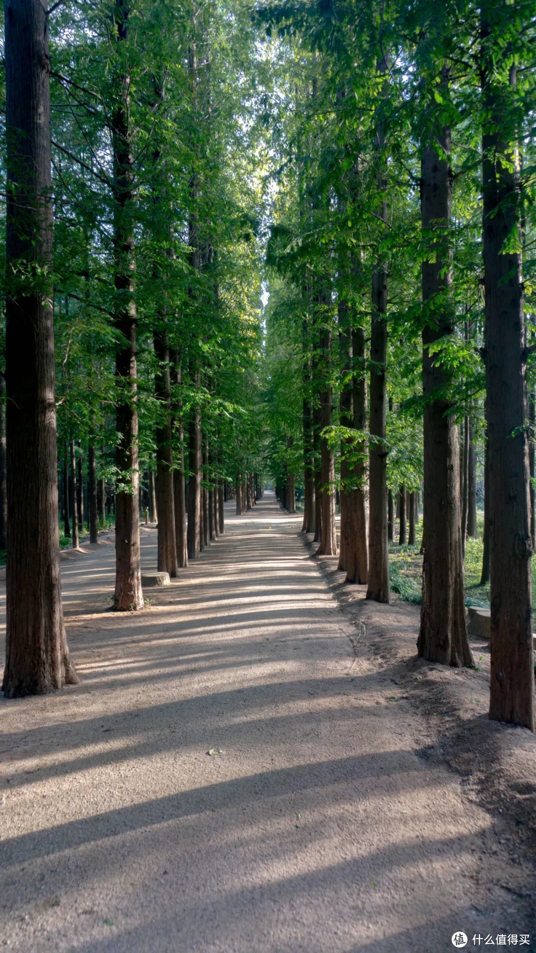 山东经济排名倒数的城市，没想到这么适合旅游！| 日照周末旅游攻略