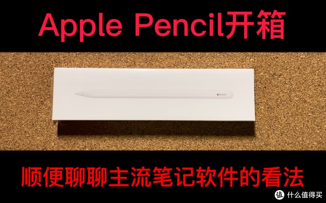 【视频】Apple Pencil开箱，顺便聊聊主流笔记软件的看法