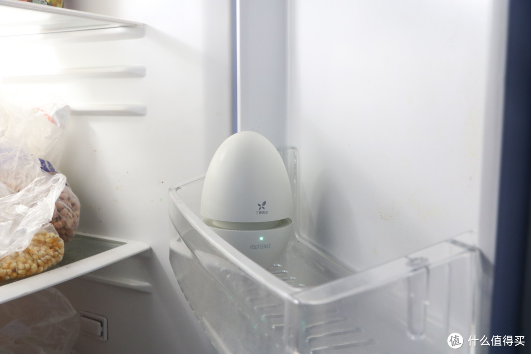 冰箱专用空气净化器来袭，守卫舌尖卫生，700种细菌无处遁逃
