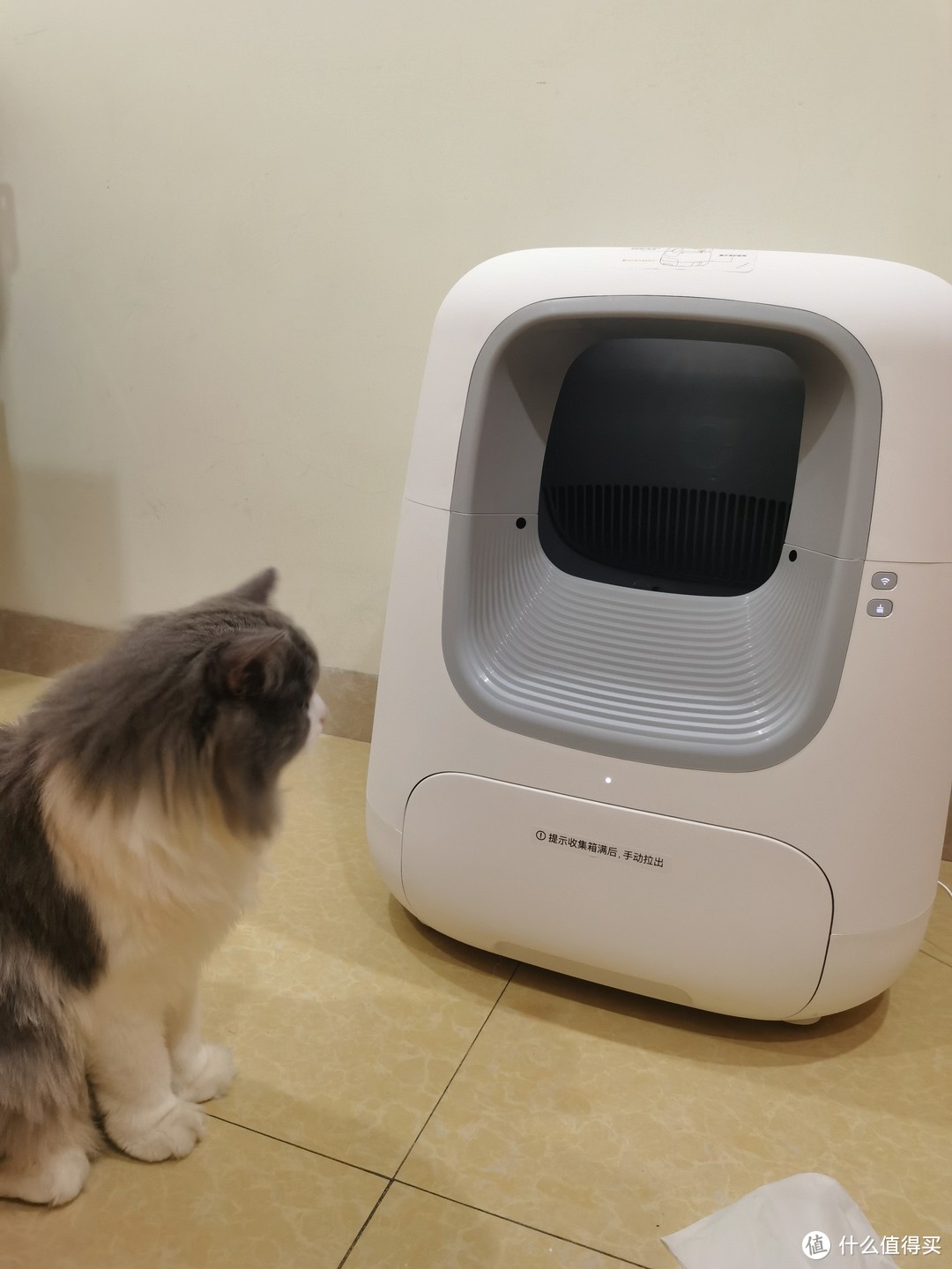 Catta猫塔智能猫厕所详细测评 宠物用品 什么值得买