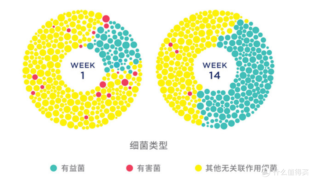 法国进口Zendium牙膏轻众测报告