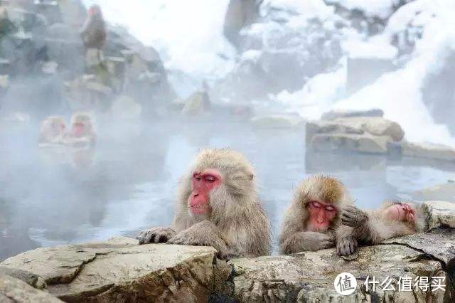 健康与舒适的革新，谈谈我对燃气热水器的要求。