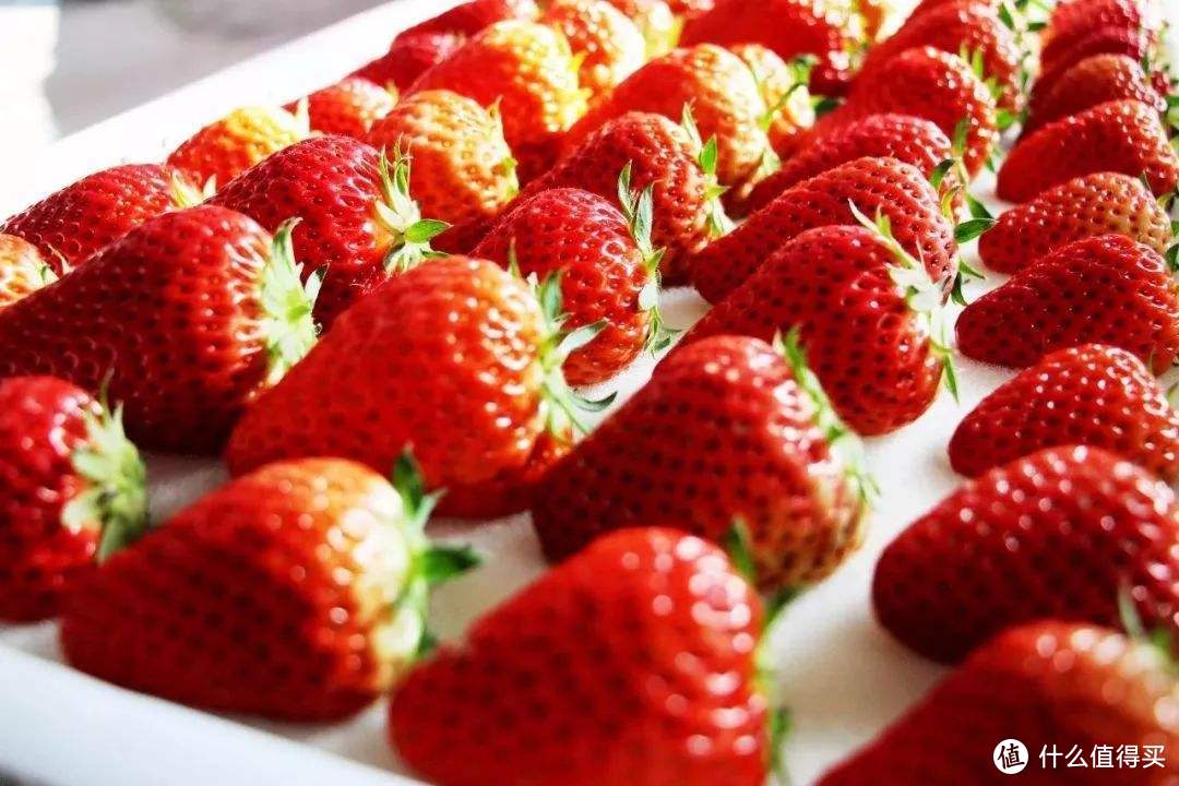 红颜草莓，草莓里的“模范生”，不“红”才怪