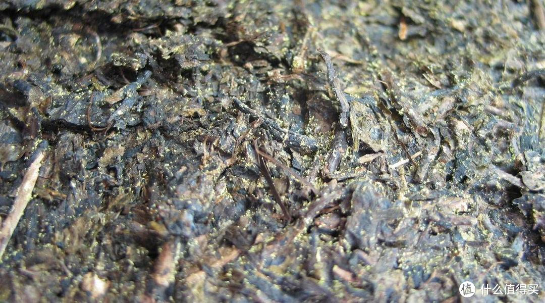安化黑茶，茶中粗粮，品一段能喝的历史