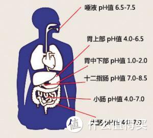 水是生命之源，选天外天碱性矿泉水就对了！