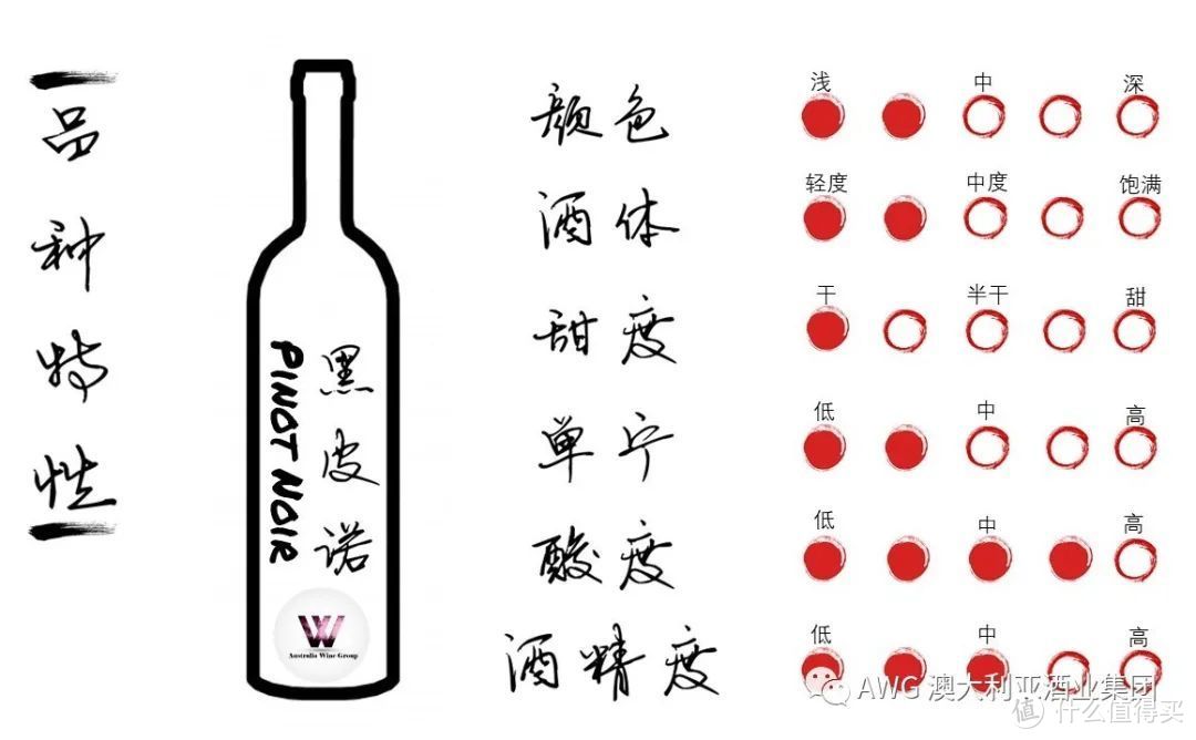 葡萄酒的100节课程 | 06-葡萄酒界的可人儿：黑皮诺 Pinot Noir