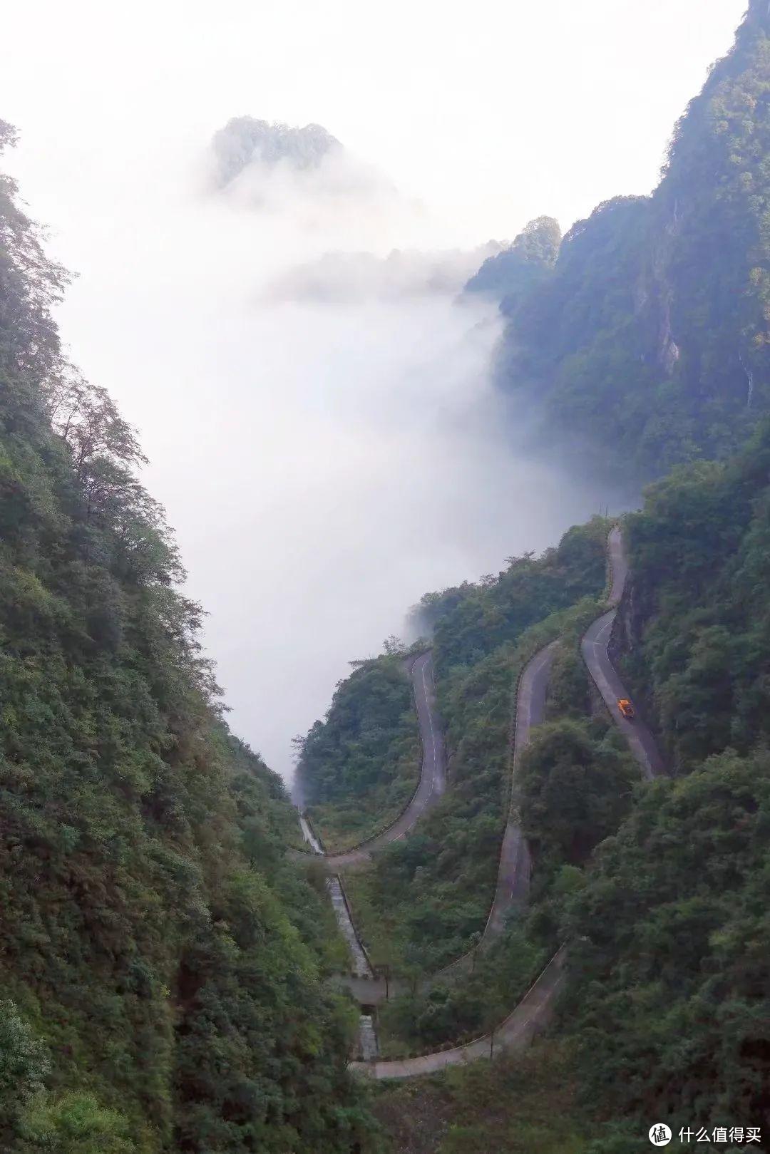 《阿凡达》取景地张家界，有哪些值得一转的景点？