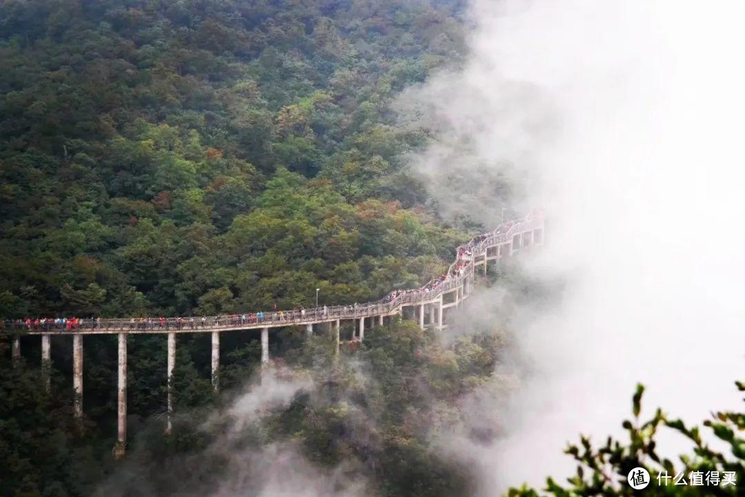 《阿凡达》取景地张家界，有哪些值得一转的景点？