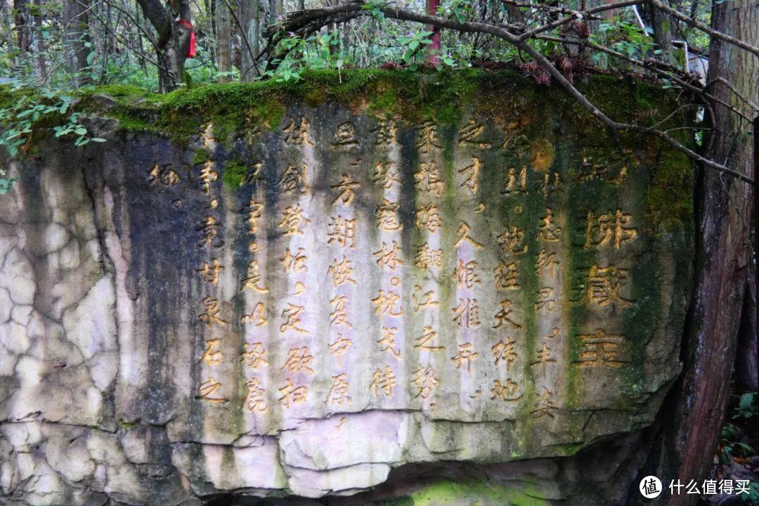 《阿凡达》取景地张家界，有哪些值得一转的景点？