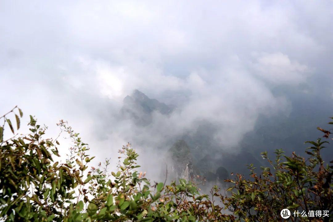 《阿凡达》取景地张家界，有哪些值得一转的景点？