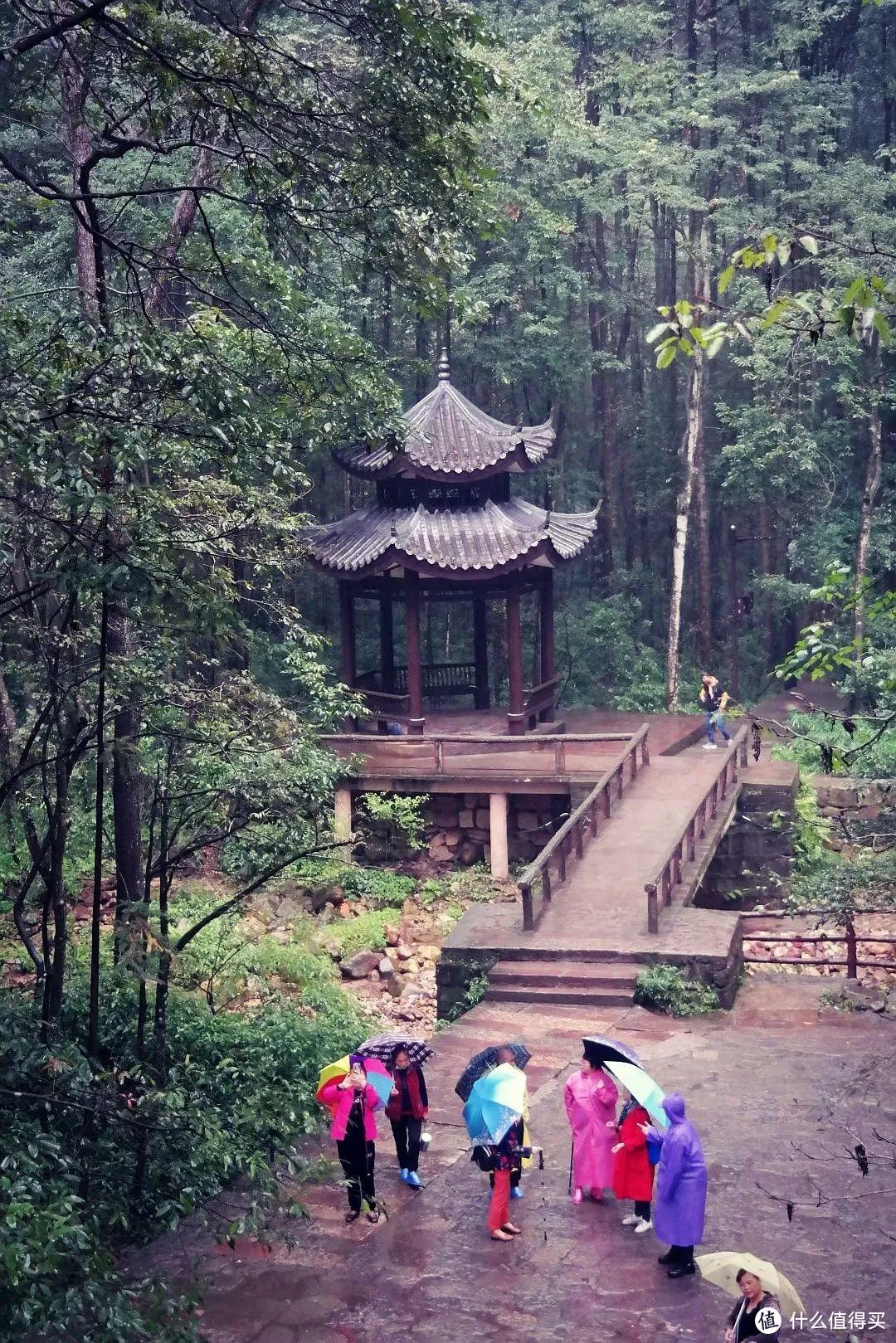 《阿凡达》取景地张家界，有哪些值得一转的景点？