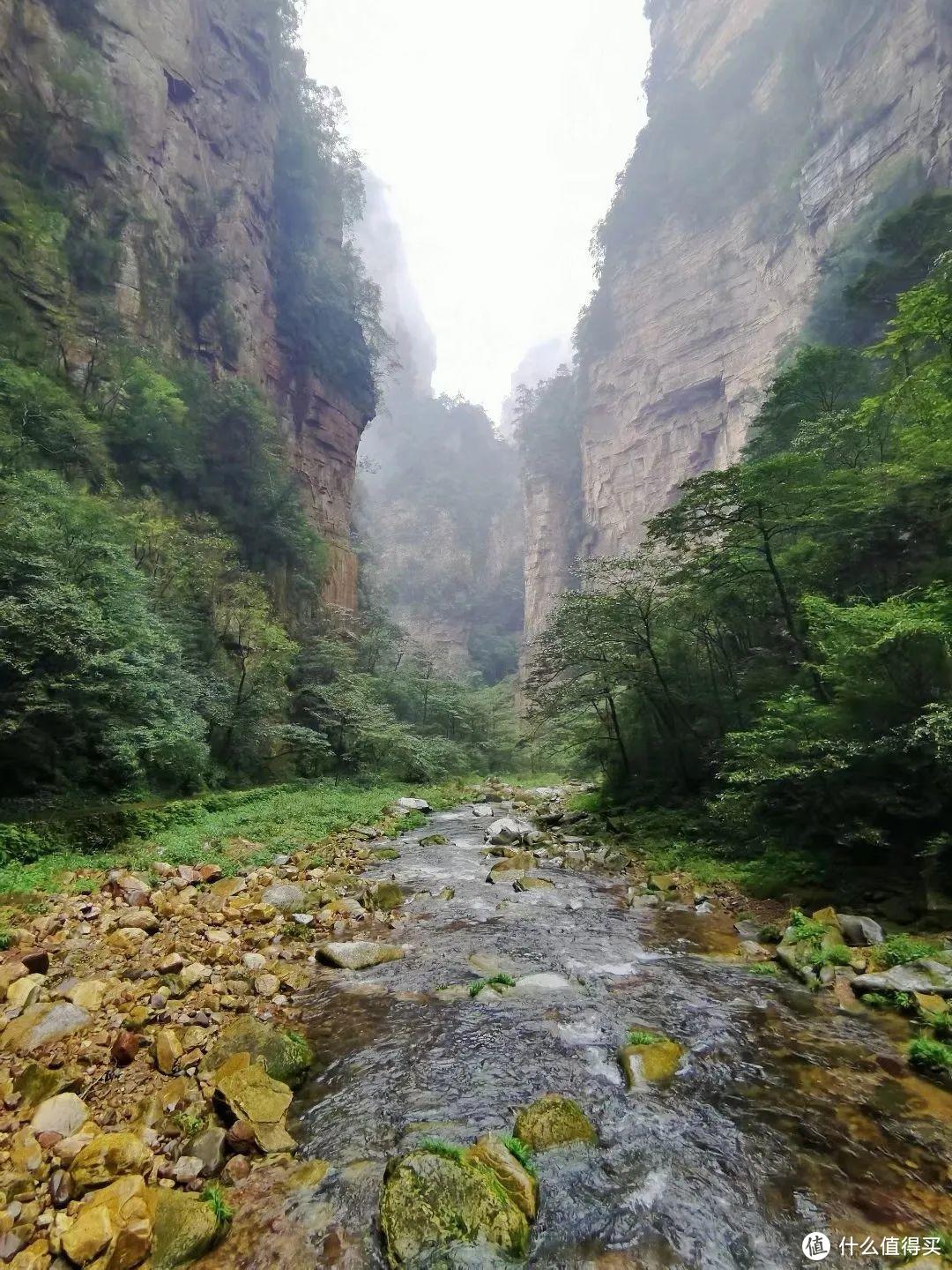 《阿凡达》取景地张家界，有哪些值得一转的景点？