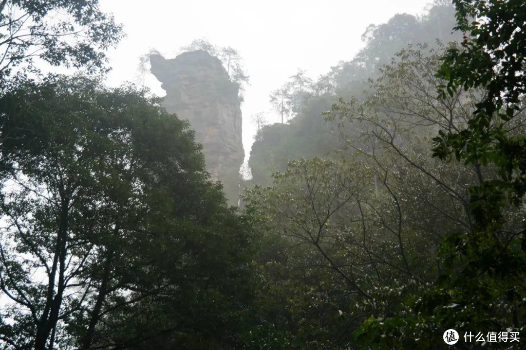 《阿凡达》取景地张家界，有哪些值得一转的景点？