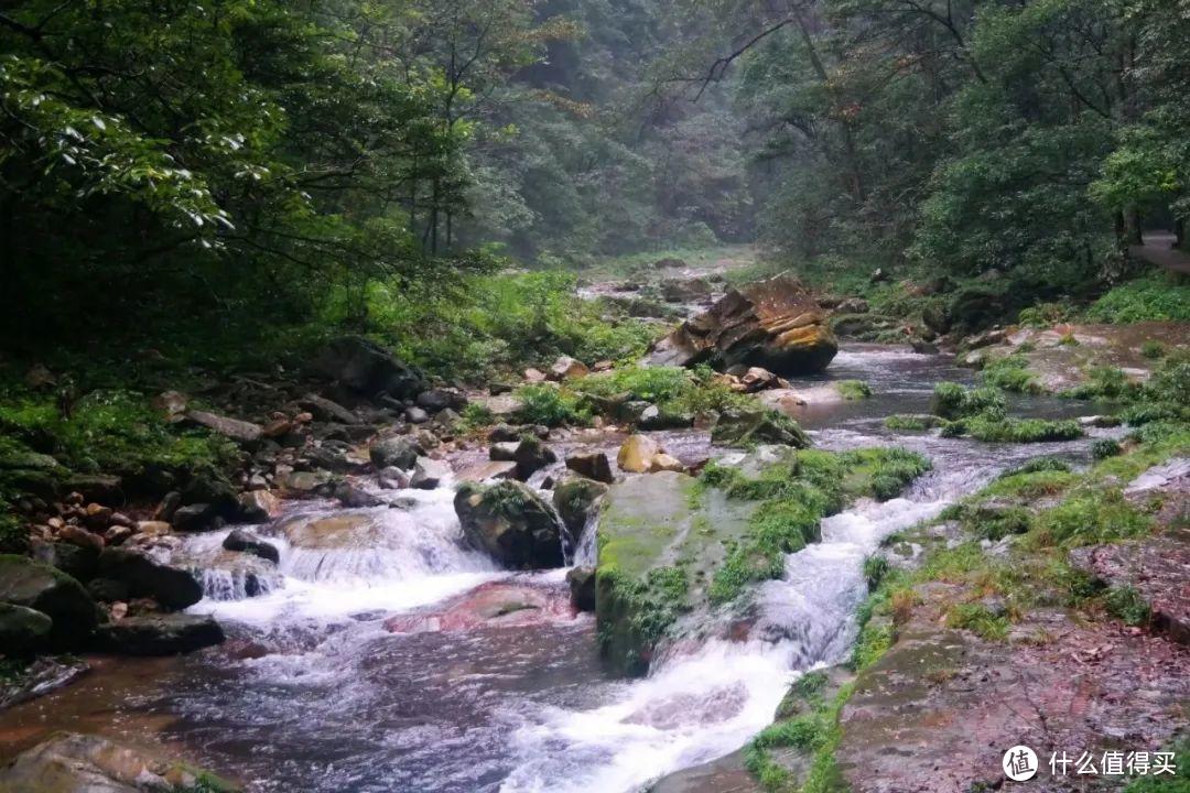 《阿凡达》取景地张家界，有哪些值得一转的景点？