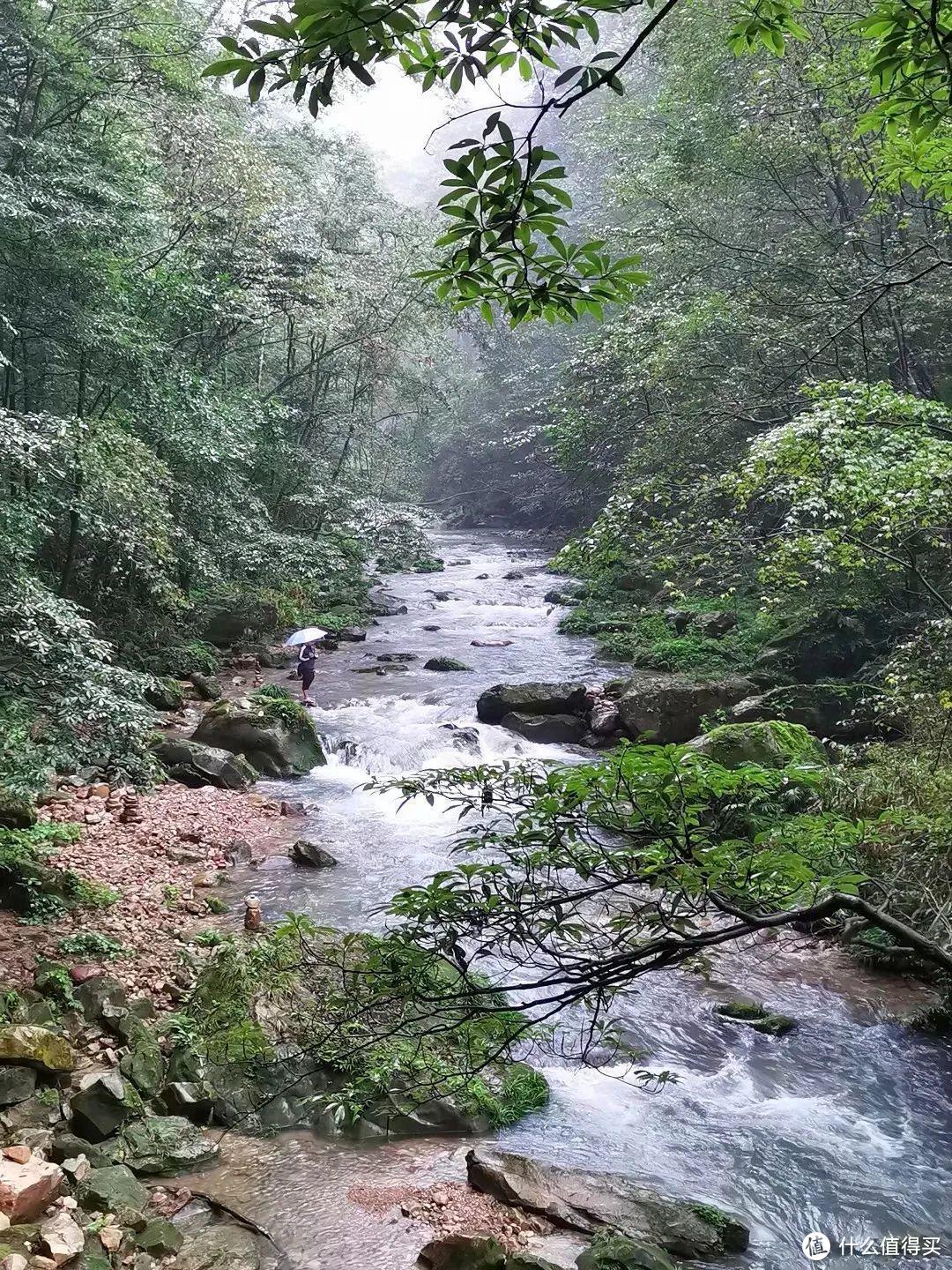 《阿凡达》取景地张家界，有哪些值得一转的景点？