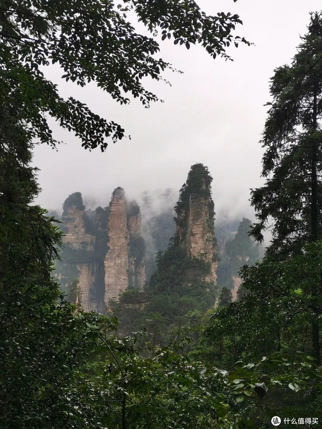 《阿凡达》取景地张家界，有哪些值得一转的景点？