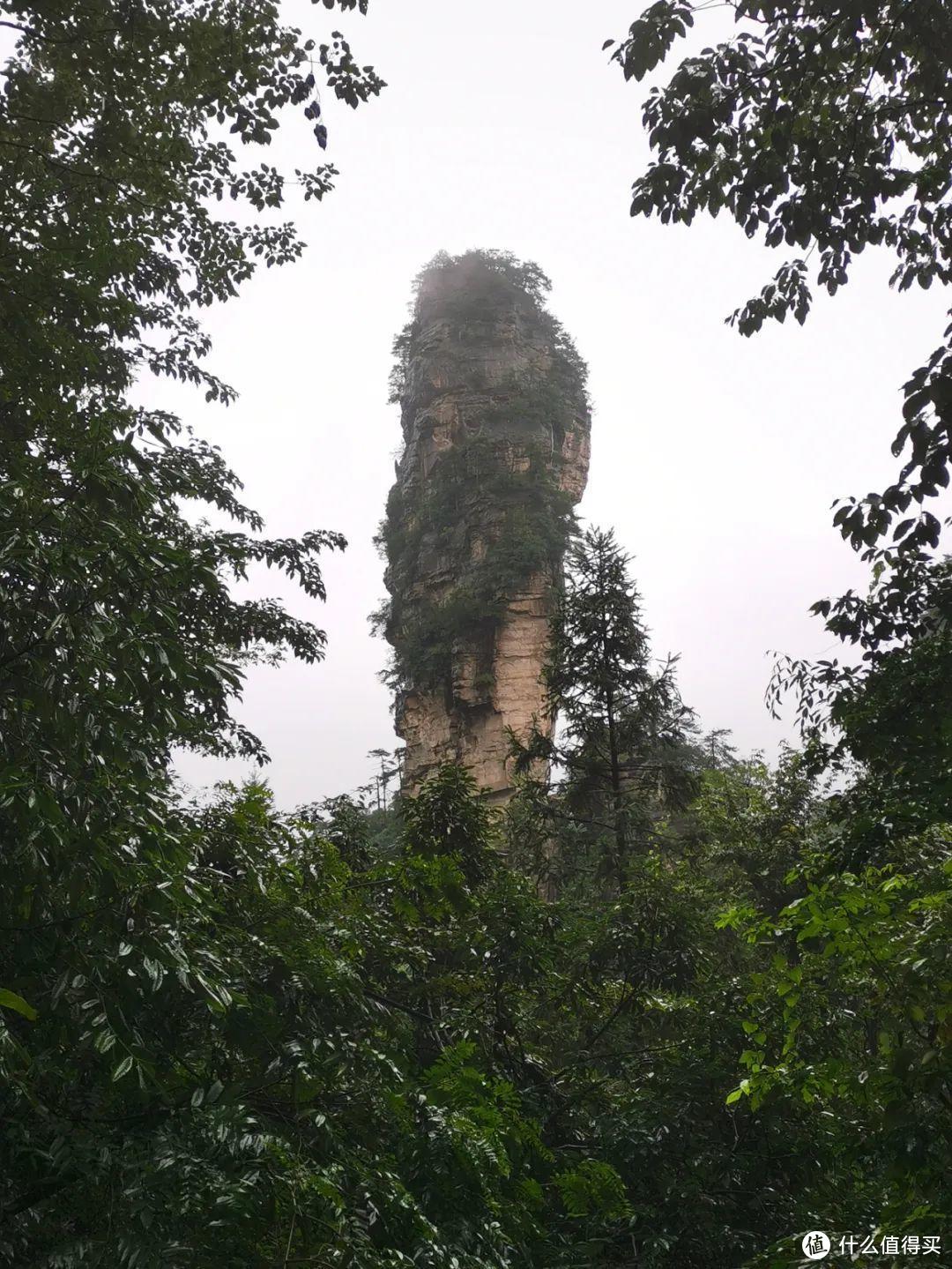 《阿凡达》取景地张家界，有哪些值得一转的景点？