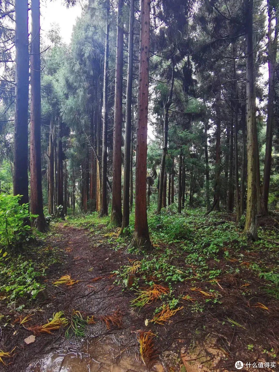 《阿凡达》取景地张家界，有哪些值得一转的景点？