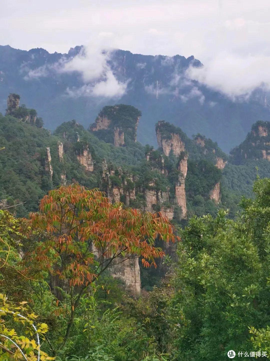 《阿凡达》取景地张家界，有哪些值得一转的景点？