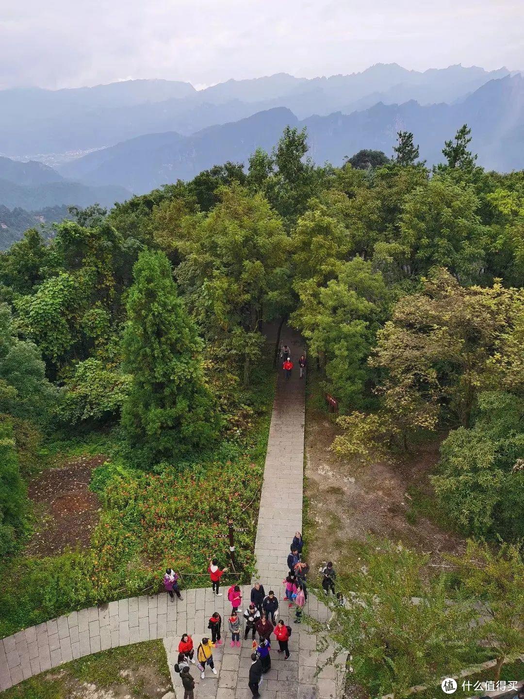 《阿凡达》取景地张家界，有哪些值得一转的景点？