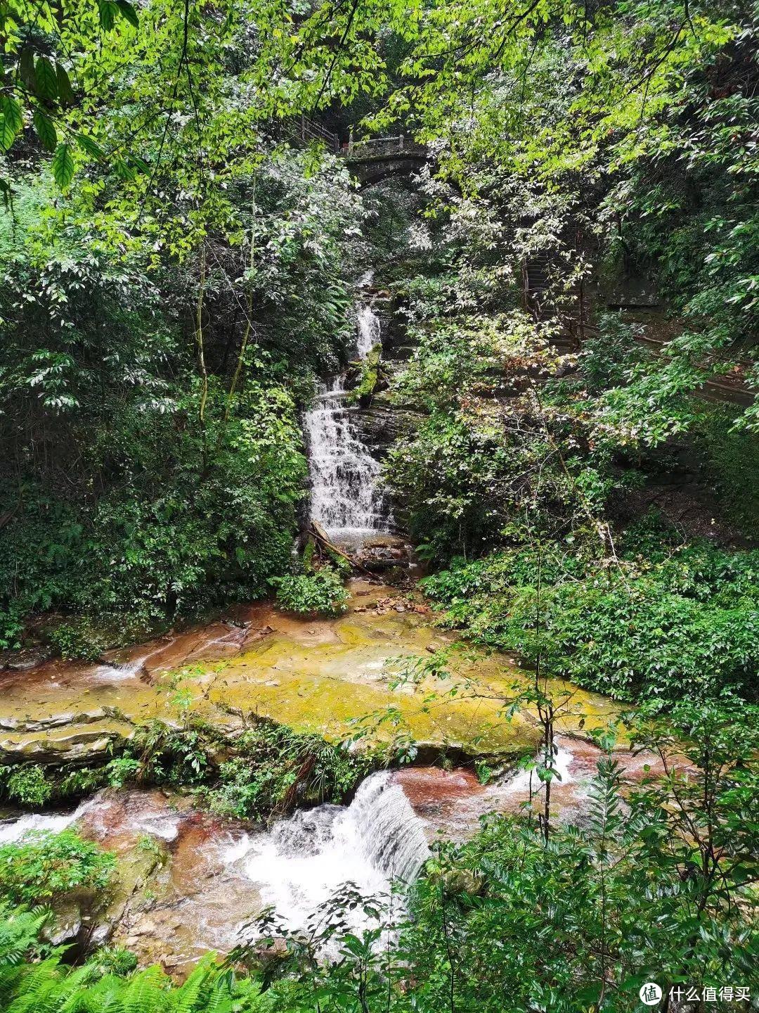 《阿凡达》取景地张家界，有哪些值得一转的景点？