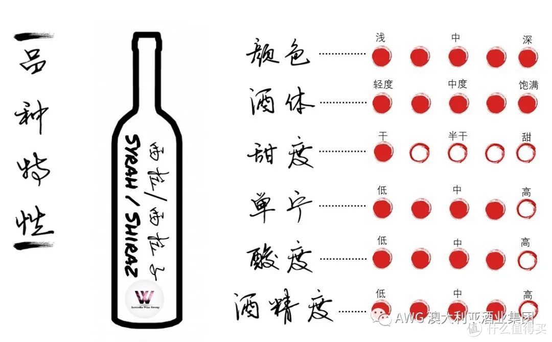 葡萄酒的100节课程 | 07-葡萄酒界的人气王 “西拉”/“西拉子”