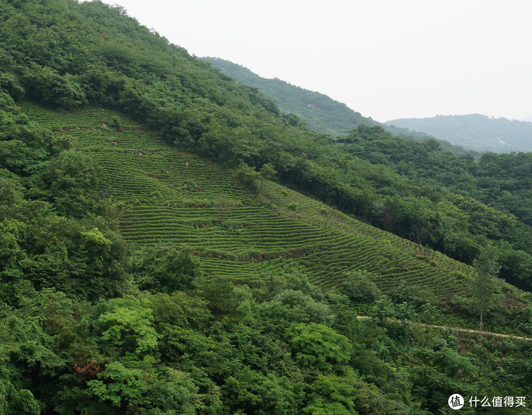 到了自然是先去山上游玩一番