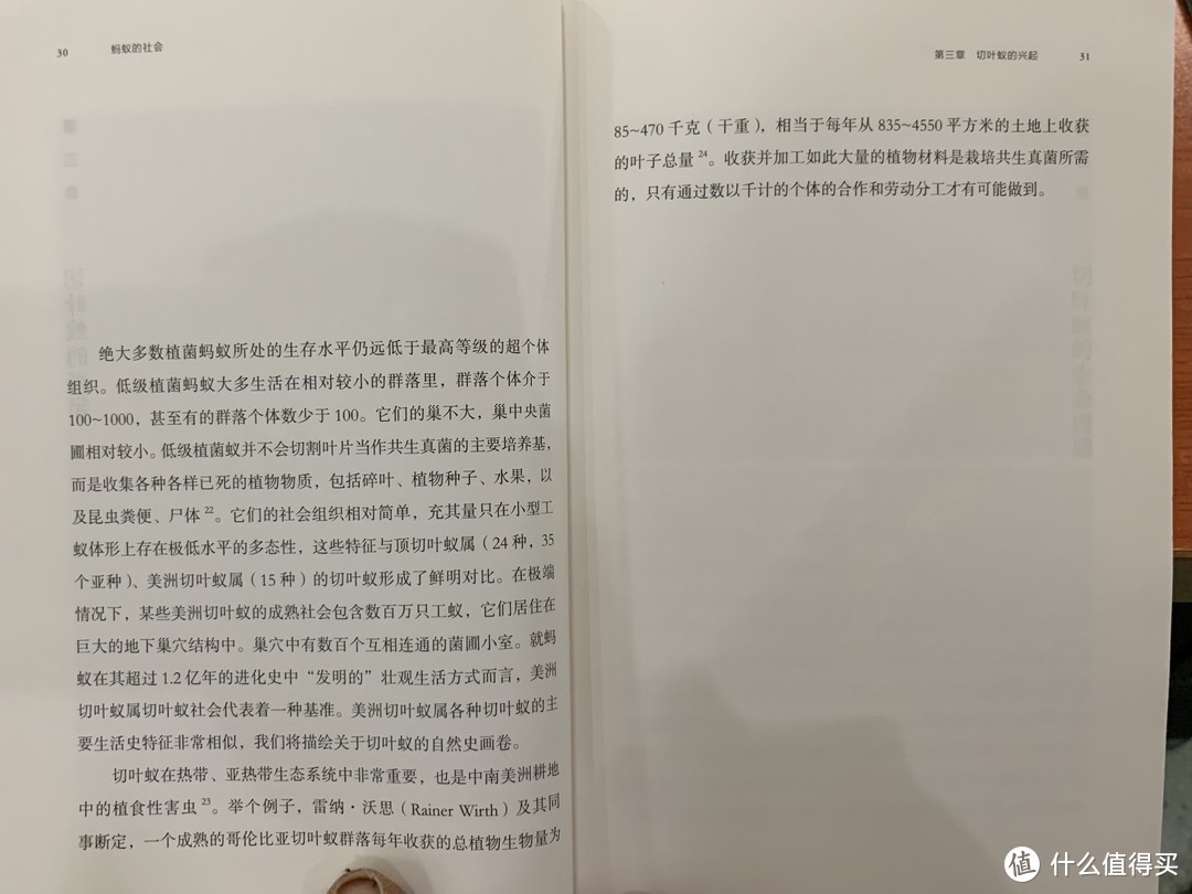 图书馆猿の2020读书计划87：《蚂蚁的社会》