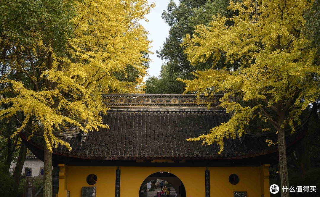 相机防积灰日志，横扫虎丘的春夏秋冬