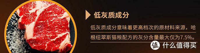 挑食喵喵的「真爱」现身，适口性超好随便挑？