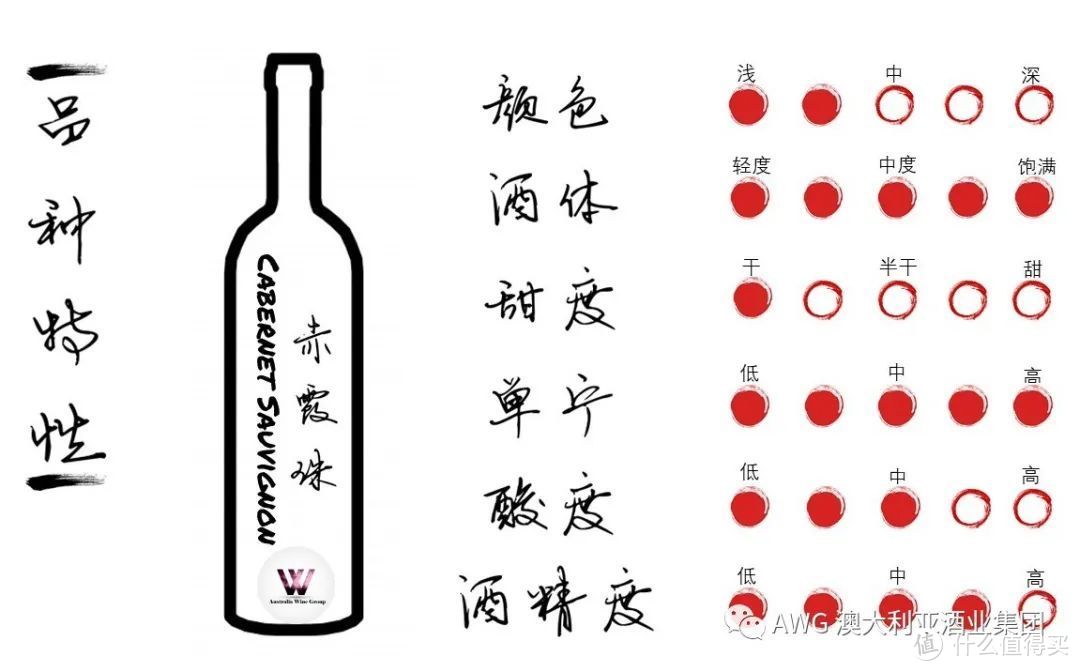 葡萄酒的100节课程 | 08-葡萄酒界的“国王”——赤霞珠