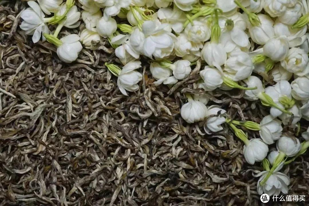 茉莉花茶，六次窨茶仅打底，八次之后才鲜灵