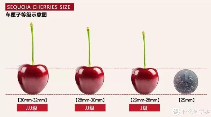 车厘子J的密码，一颗小小水果背后的分级智慧