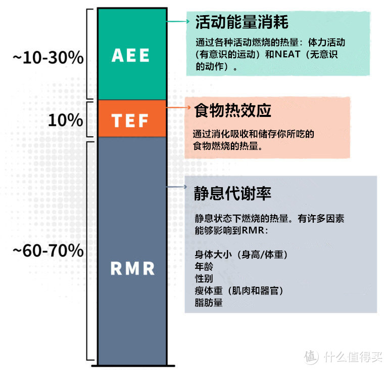 基础代谢？不好意思，你瘦不下来不是因为代谢慢，这些才是重点