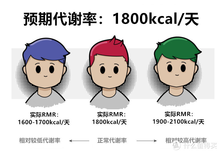 基础代谢？不好意思，你瘦不下来不是因为代谢慢，这些才是重点