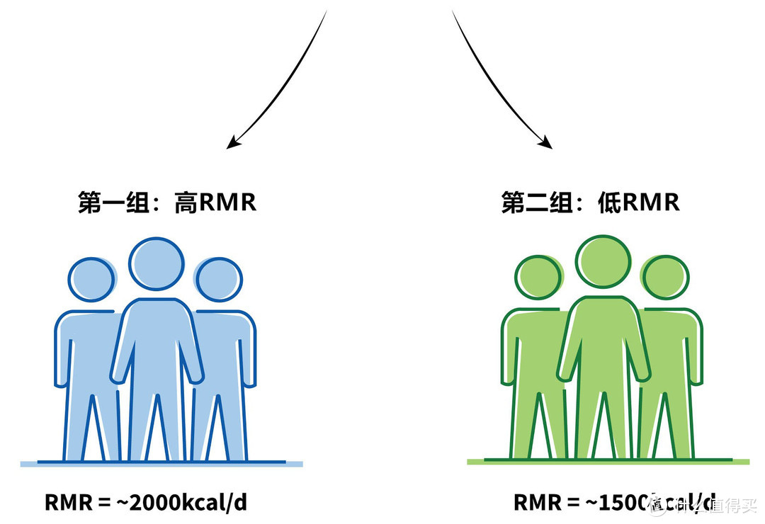 基础代谢？不好意思，你瘦不下来不是因为代谢慢，这些才是重点