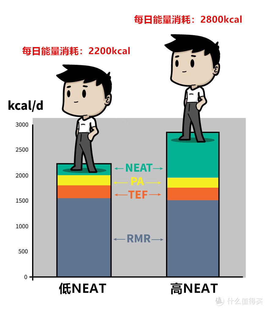 基础代谢？不好意思，你瘦不下来不是因为代谢慢，这些才是重点