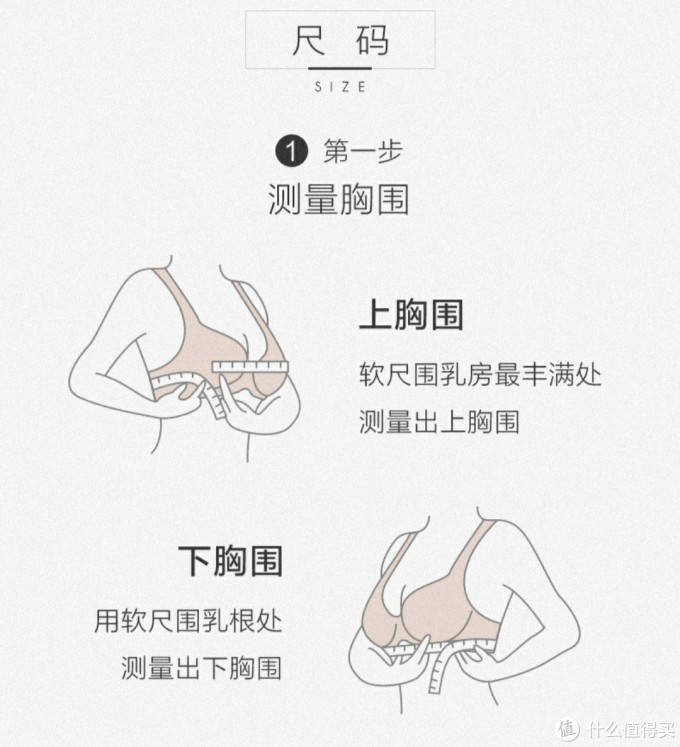 怎样在网上选一件合适的文胸?