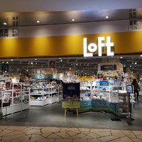 【探店】日本文具大亨Loft美罗城店初探